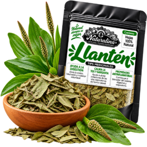 LLANTEN 50 gr
