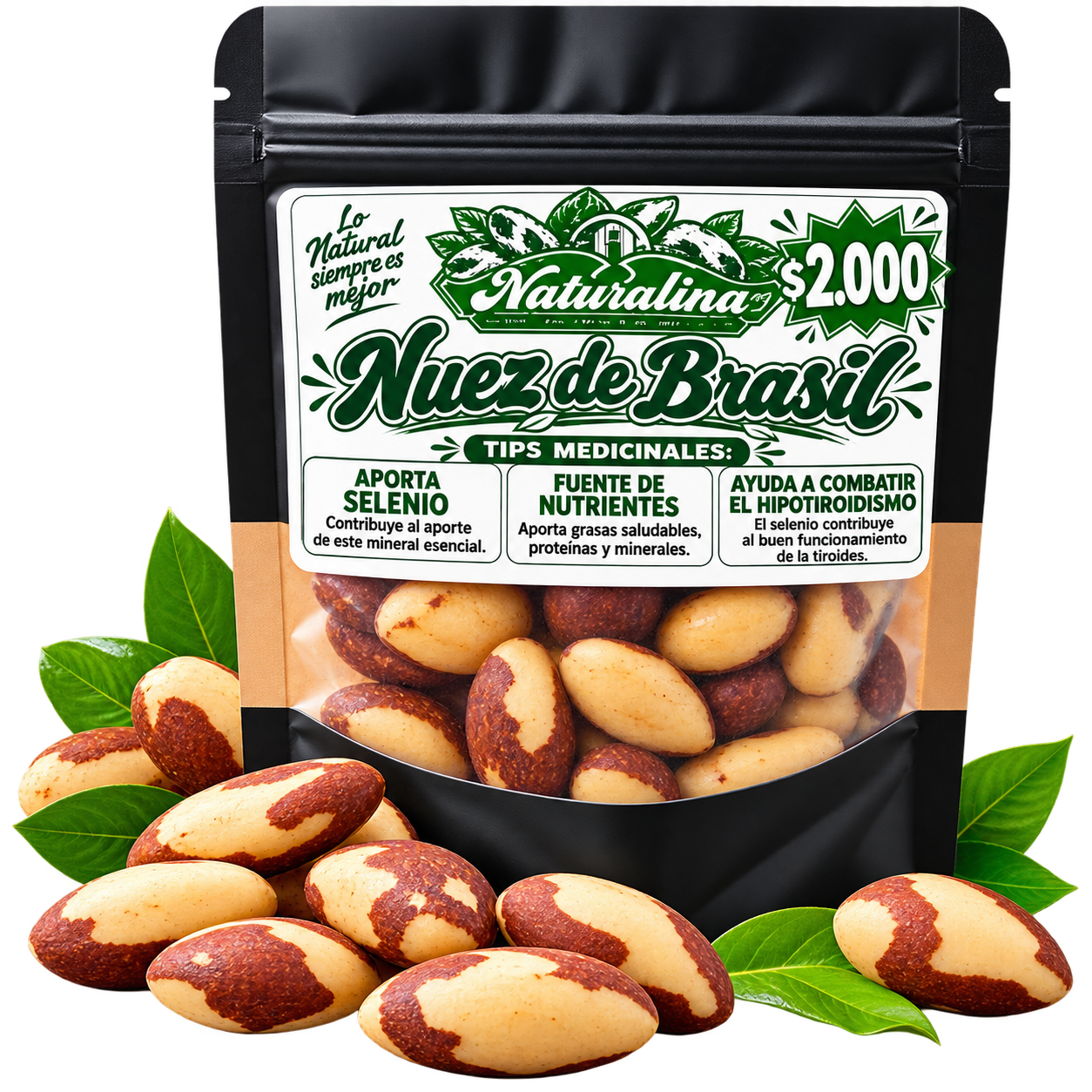 NUEZ DE BRASIL